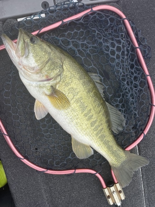 truth  ブログ写真 2022/08/17