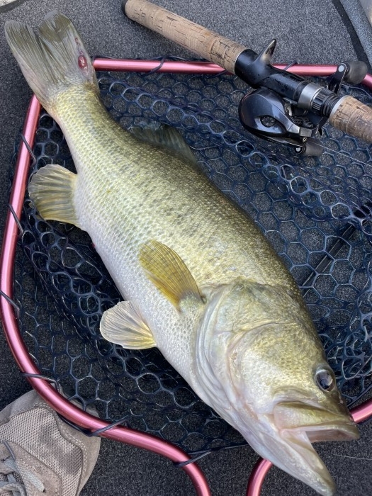 truth  ブログ写真 2022/08/22