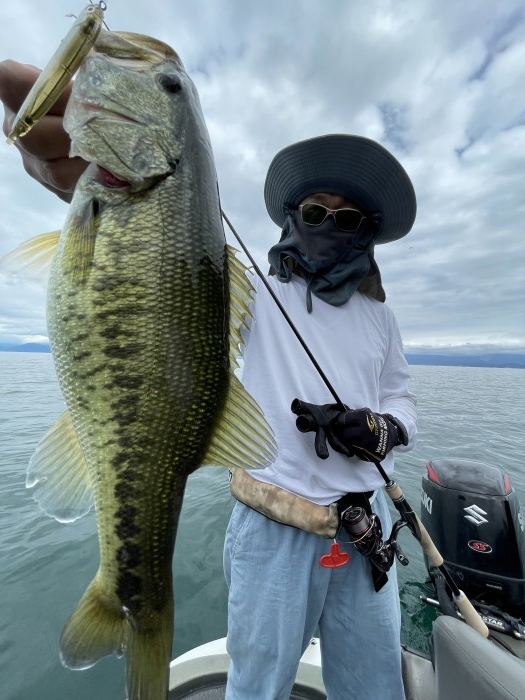 truth  ブログ写真 2022/08/26