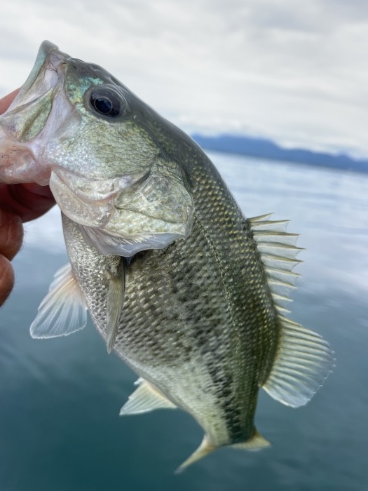 truth  ブログ写真 2022/08/26