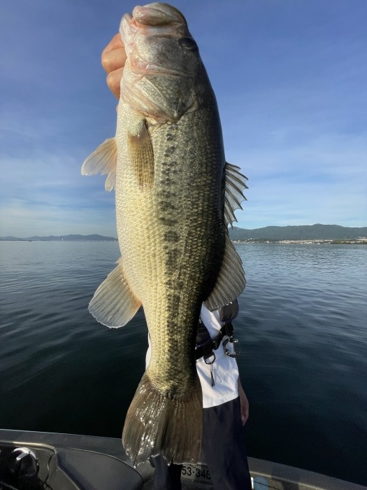 truth  ブログ写真 2022/09/12