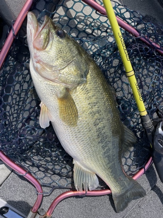 truth  ブログ写真 2022/09/12