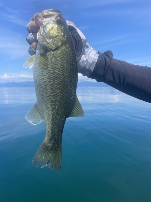 truth  ブログ写真 2022/09/12