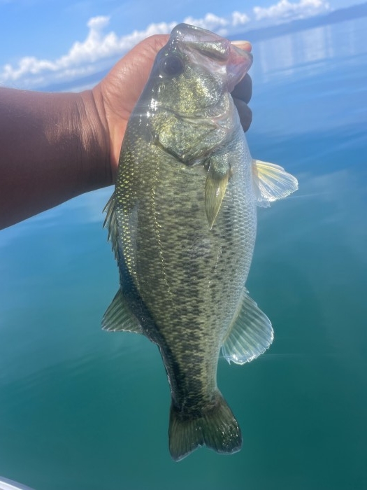 truth  ブログ写真 2022/09/12