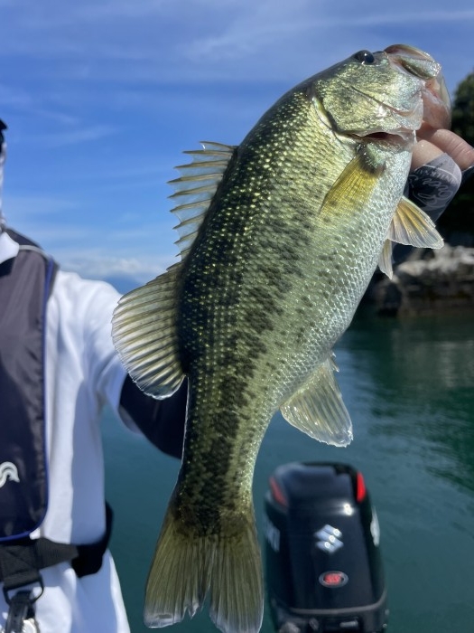 truth  ブログ写真 2022/09/12