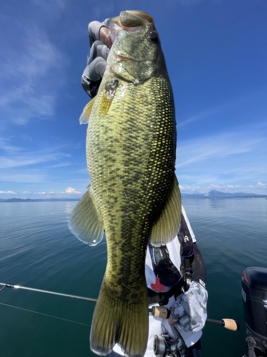 truth  ブログ写真 2022/09/12