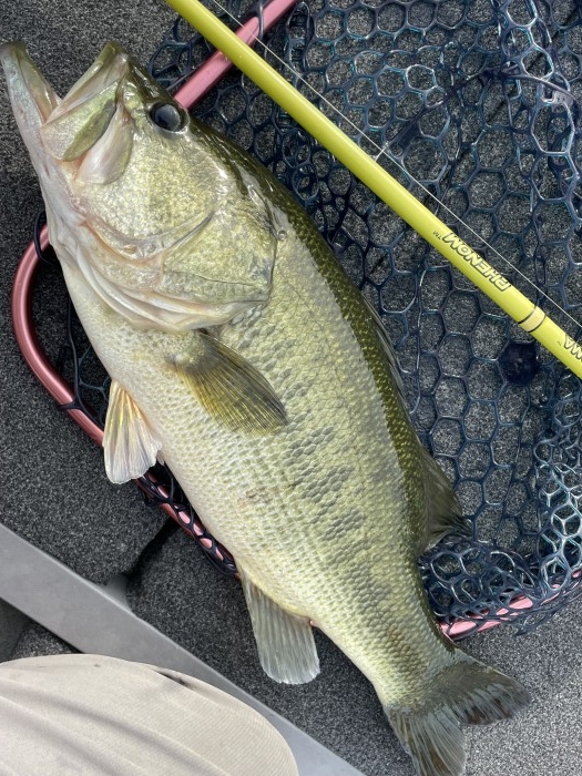 truth  ブログ写真 2022/09/13