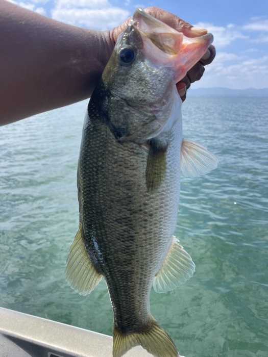 truth  ブログ写真 2022/09/16