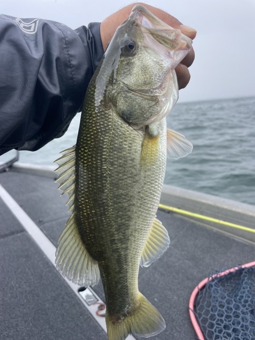 truth  ブログ写真 2022/09/20