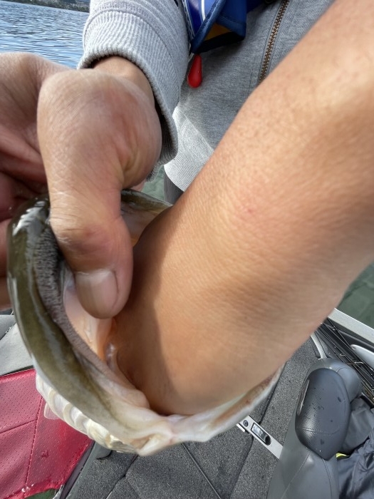 truth  ブログ写真 2022/09/21