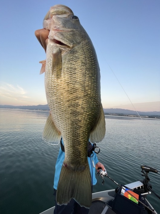 truth  ブログ写真 2022/09/26