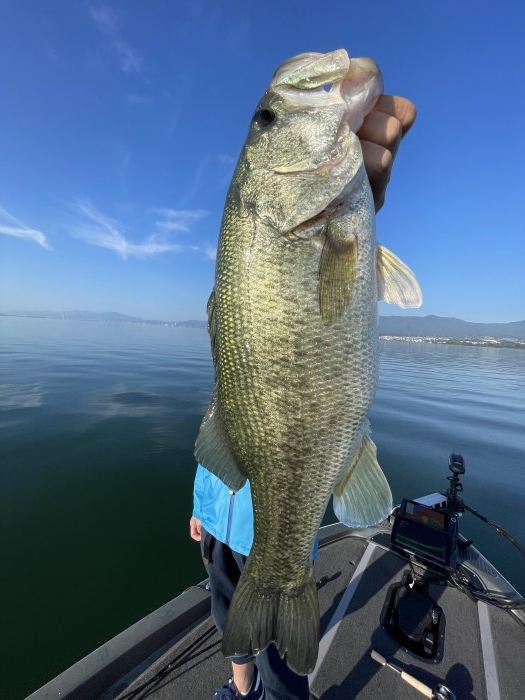 truth  ブログ写真 2022/09/26