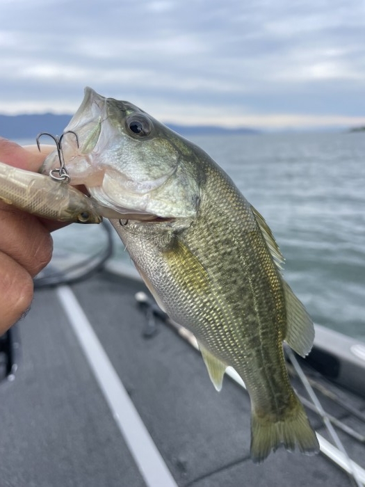 truth  ブログ写真 2022/10/12