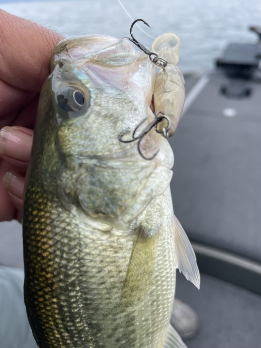 truth  ブログ写真 2022/10/12