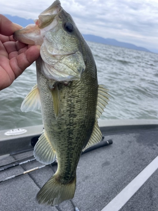 truth  ブログ写真 2022/10/12