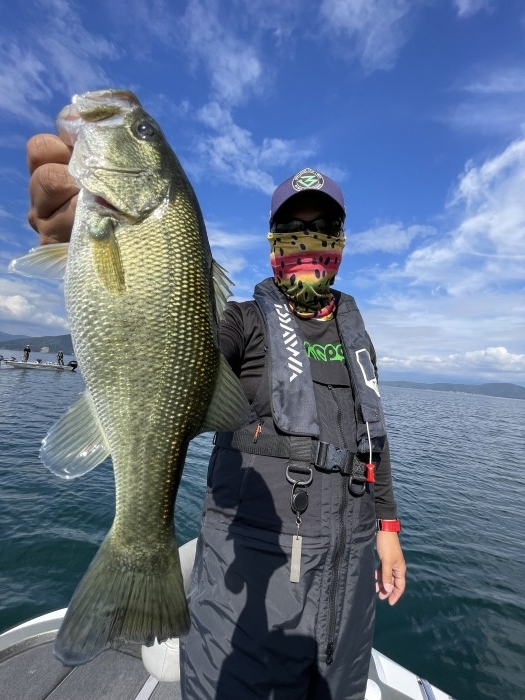 truth  ブログ写真 2022/10/13