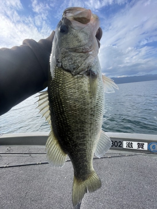 truth  ブログ写真 2022/10/13