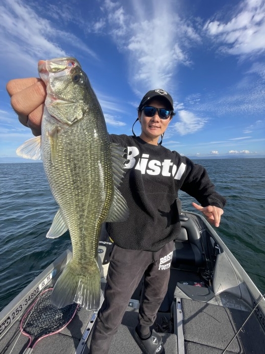 truth  ブログ写真 2022/10/14