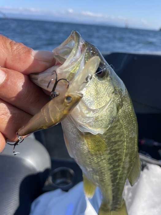 truth  ブログ写真 2022/10/15