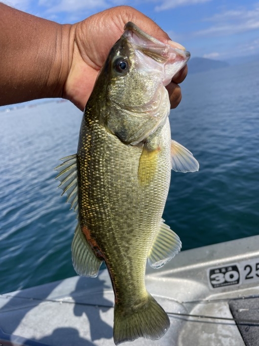 truth  ブログ写真 2022/10/16