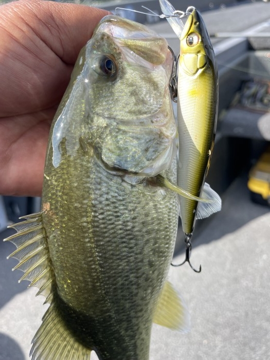 truth  ブログ写真 2022/10/16