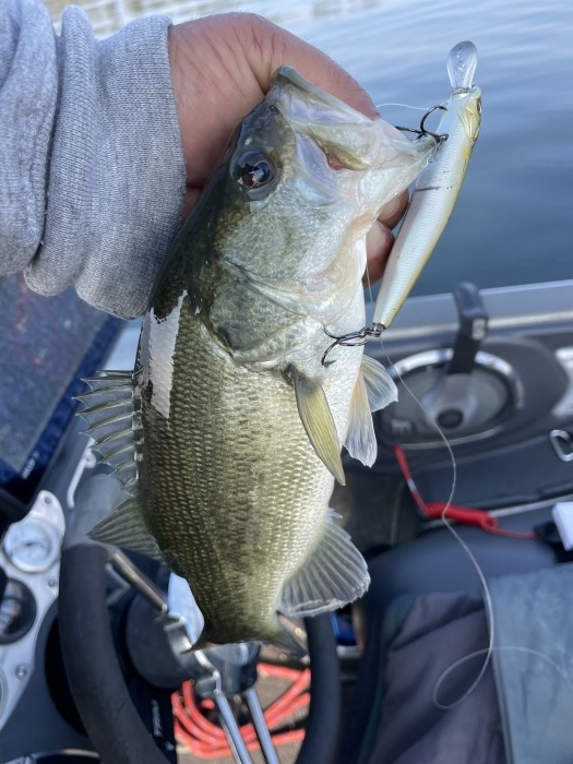 truth  ブログ写真 2022/11/12