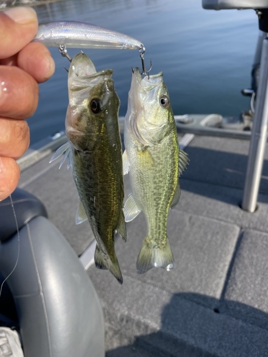 truth  ブログ写真 2022/11/12