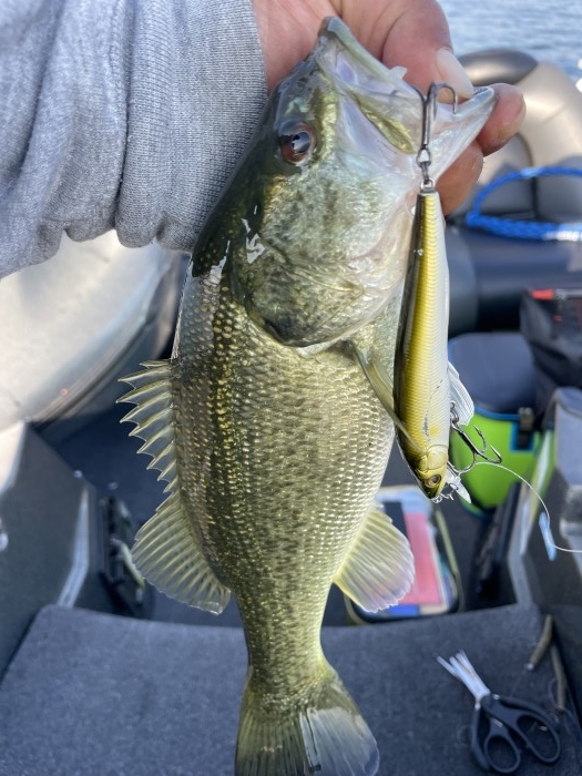 truth  ブログ写真 2022/11/12