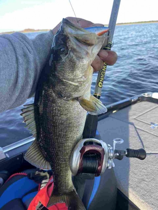 truth  ブログ写真 2023/02/15