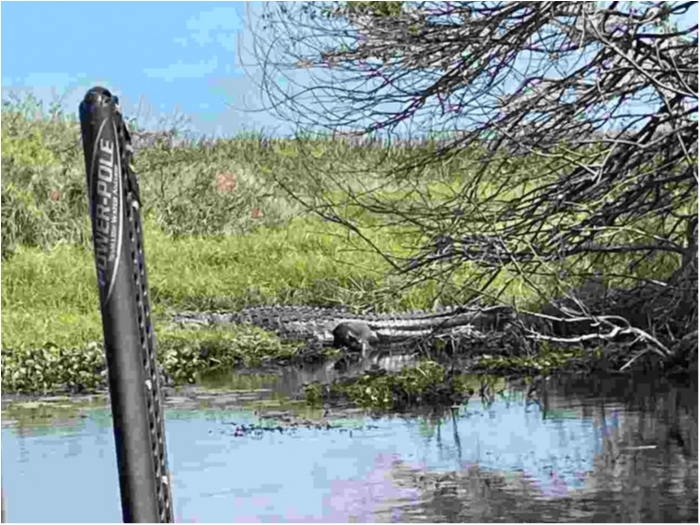 truth  ブログ写真 2023/02/15