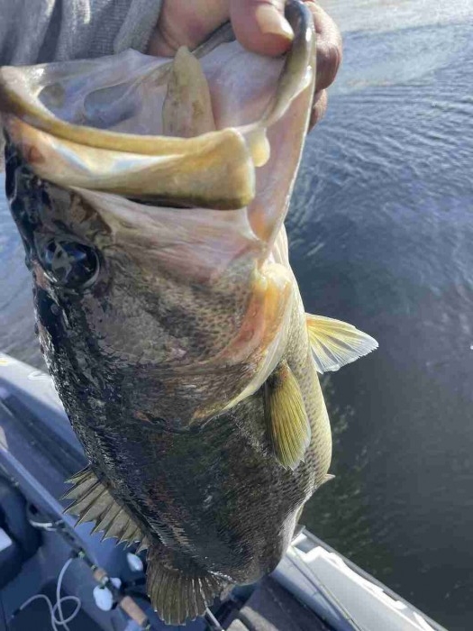 truth  ブログ写真 2023/02/15