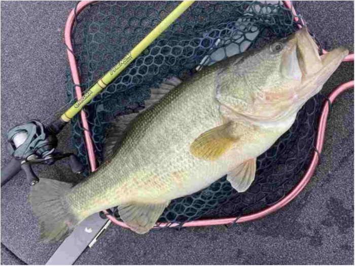 truth ブログ写真 2023/02/16