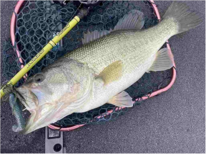 truth ブログ写真 2023/02/16