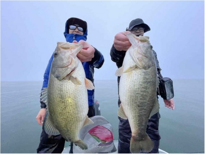 truth ブログ写真 2023/02/19