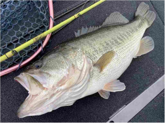 truth ブログ写真 2023/02/19