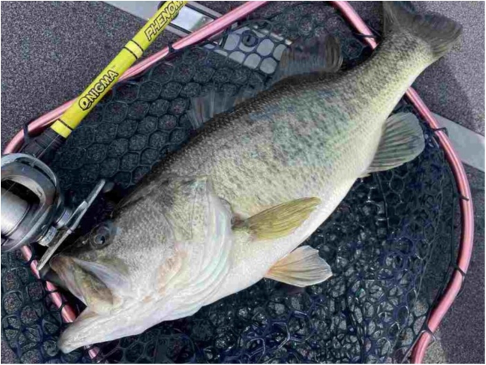 truth  ブログ写真 2023/02/22