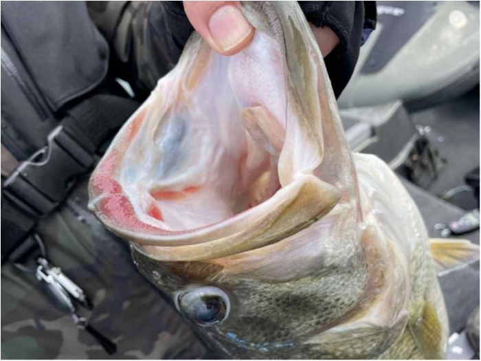 truth  ブログ写真 2023/02/23