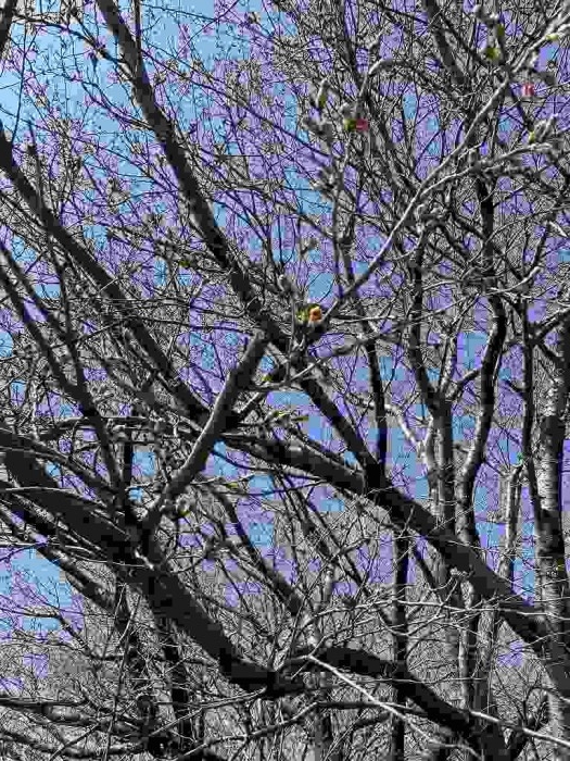 truth  ブログ写真 2023/03/22