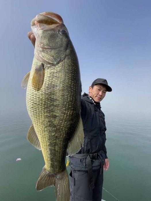 truth  ブログ写真 2023/03/22