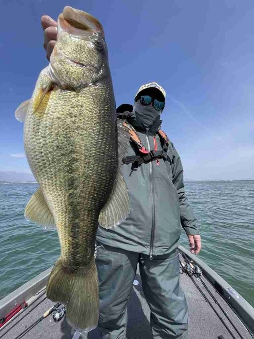 truth  ブログ写真 2023/03/27