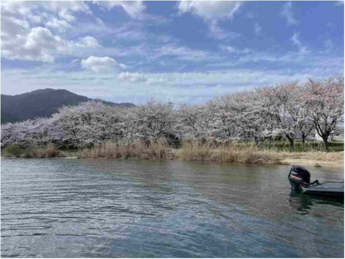 truth  ブログ写真 2023/03/27