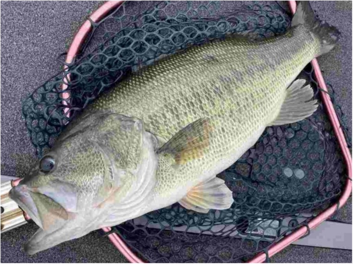 truth  ブログ写真 2023/04/05