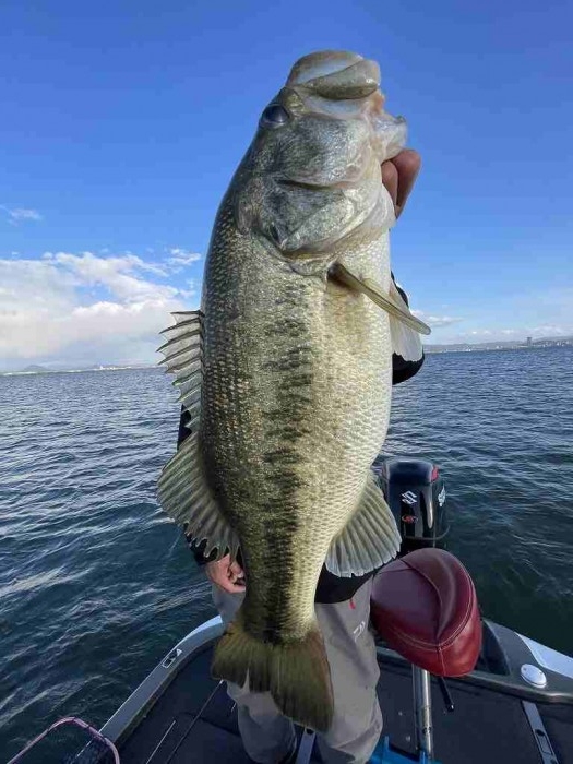 truth  ブログ写真 2023/04/08