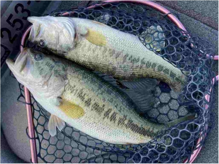 truth  ブログ写真 2023/04/09