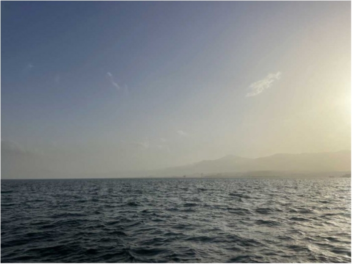 truth  ブログ写真 2023/04/12