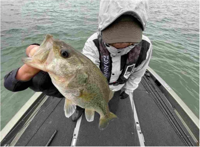 truth  ブログ写真 2023/04/15