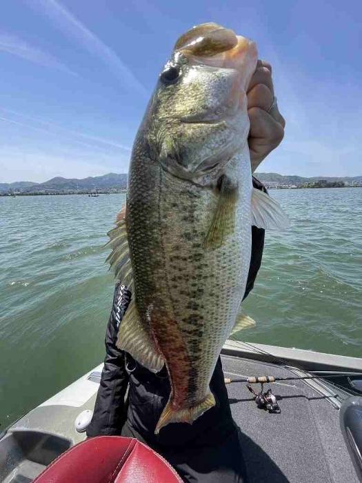 truth  ブログ写真 2023/04/23