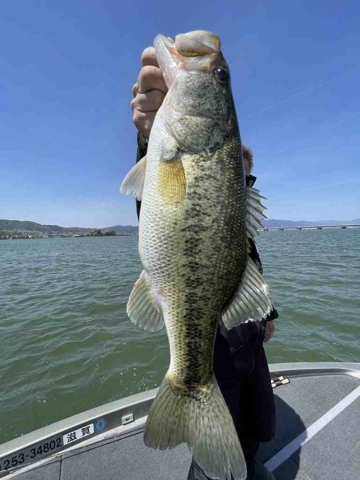 truth  ブログ写真 2023/04/23