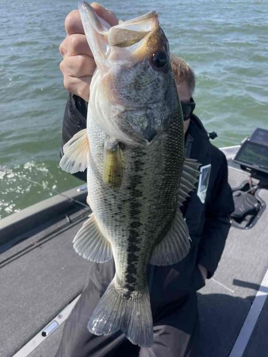 truth  ブログ写真 2023/04/23