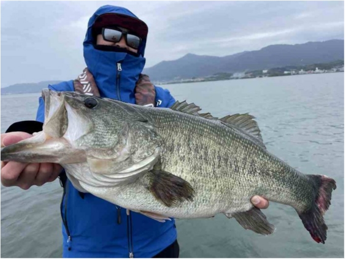 truth  ブログ写真 2023/04/25